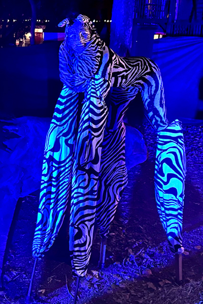 zebre halloween