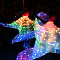 Cosmose-duo-ailes-3 danse d'ailes lumineuses
