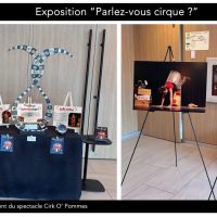 exposition cirque